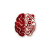 Cerenovus.png